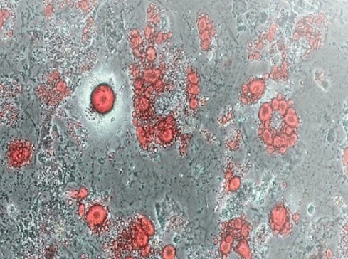 1695276661709277.png 图片2.png