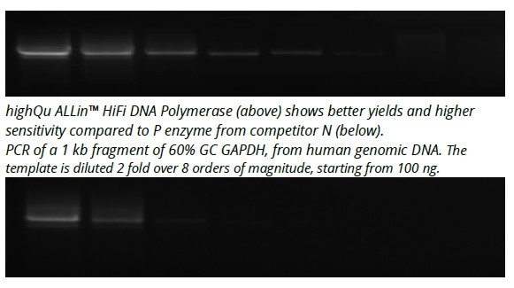 ALLin™高保真DNA 聚合酶