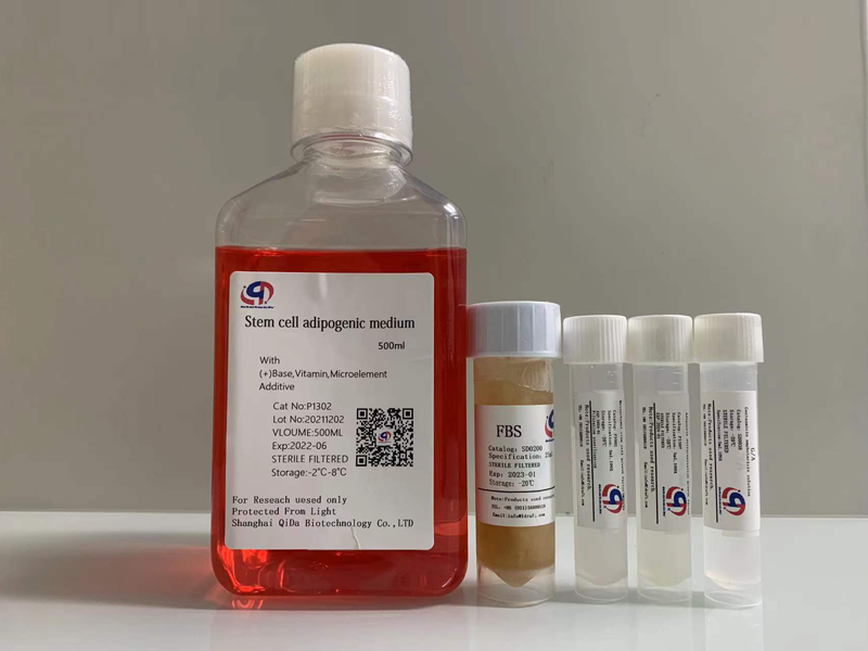 成脂分化培养基-adipogenic  Culture Medium