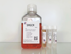 SMGCM 平滑肌细胞培养基