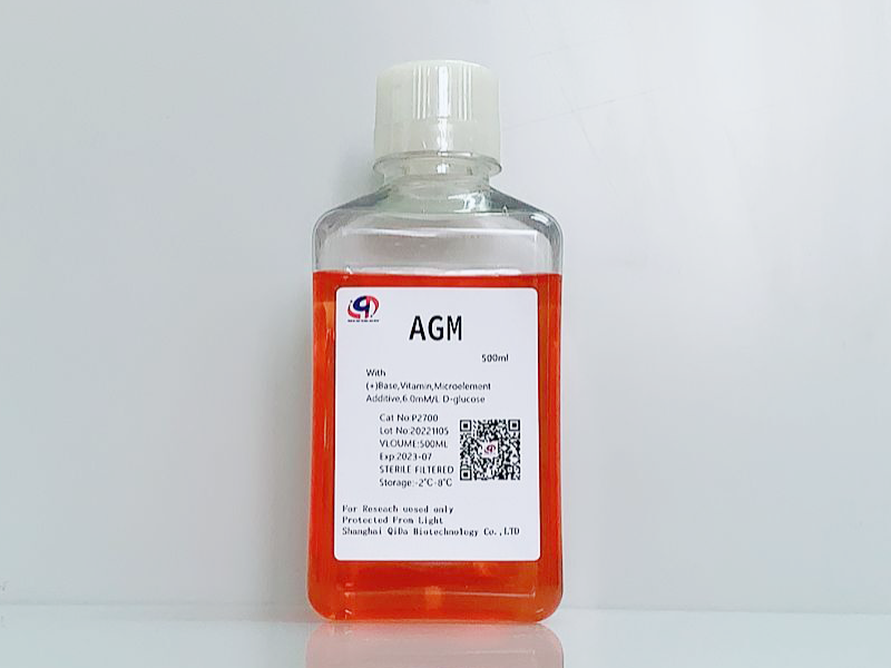 AGM 星形胶质细胞基础培养基