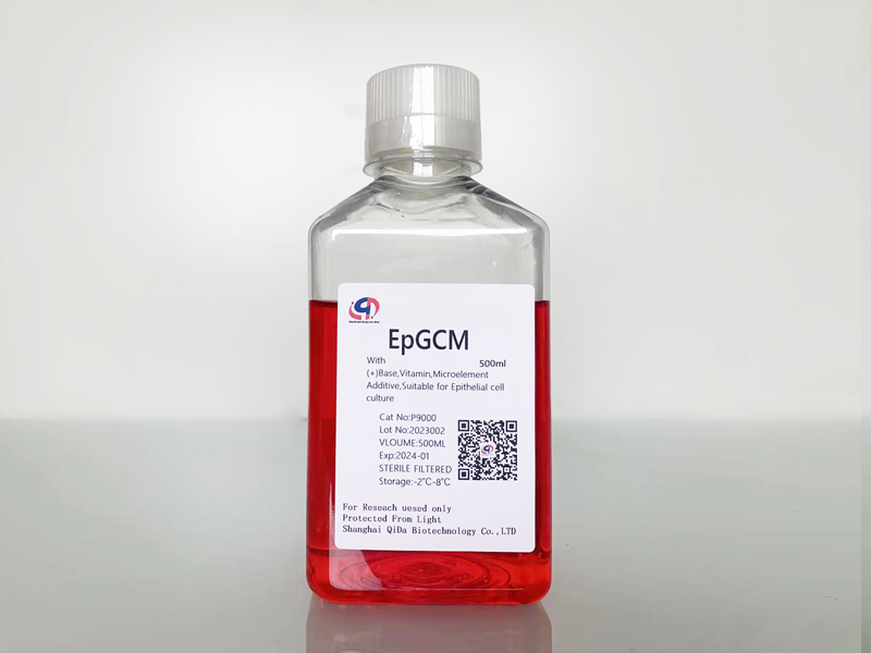 EpGCM低血清上皮细胞基础培养基