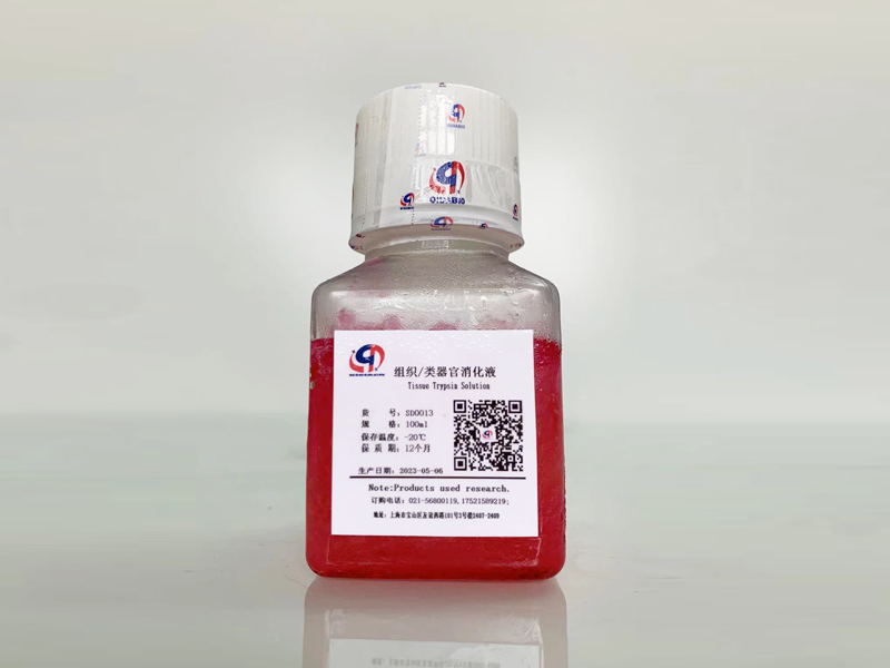 组织/类器官消化酶