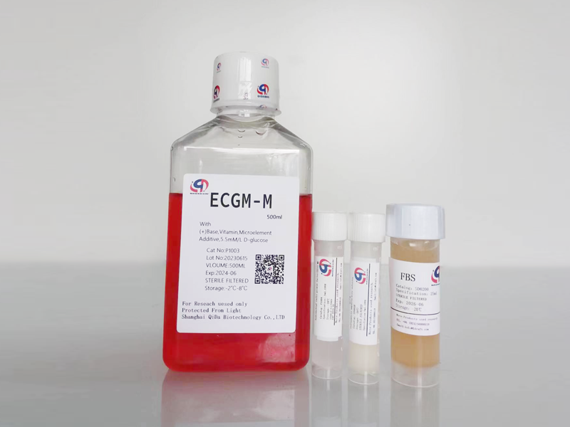 ECGM-M内皮细胞培养基