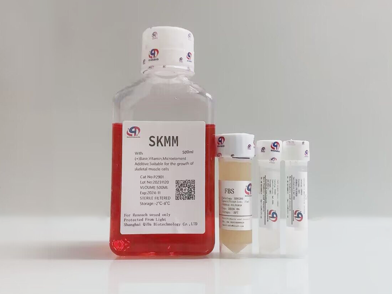 SKMM 骨骼肌细胞培养基 