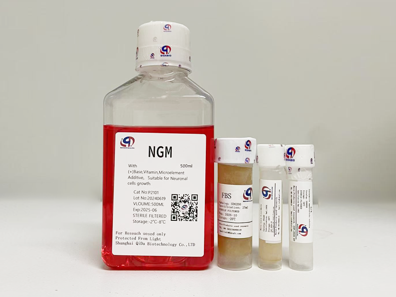 神经细胞生长培养基(NGM)
