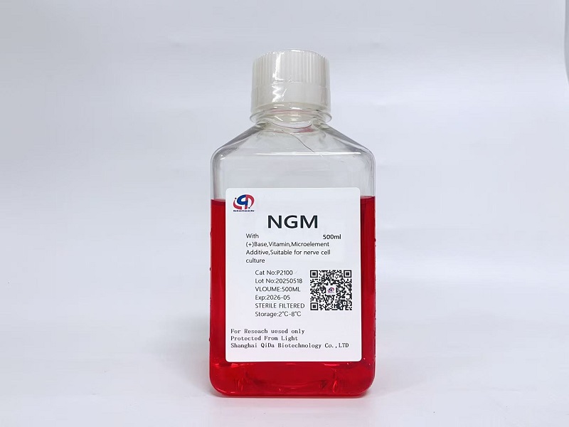 神经细胞基础培养基