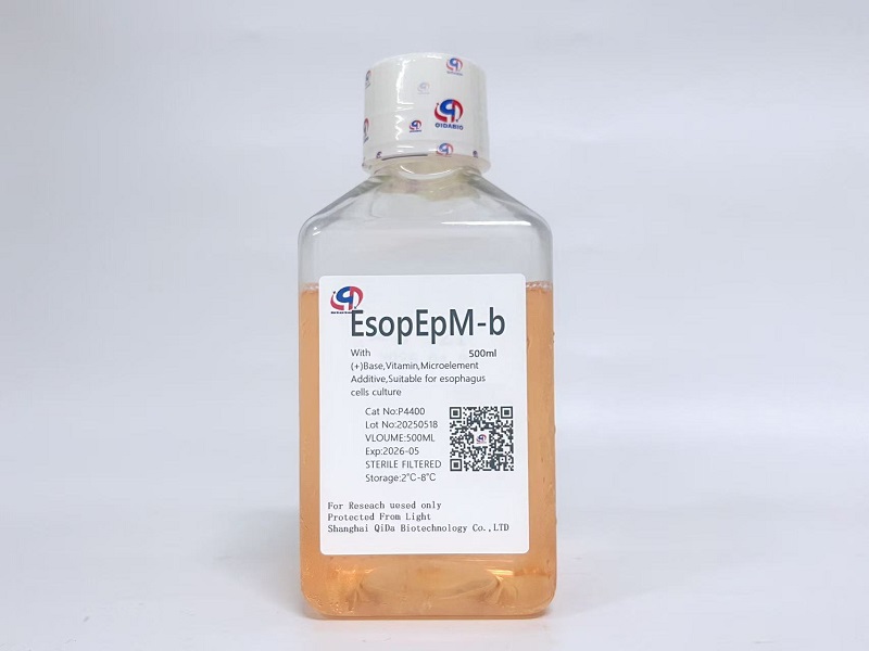 EsopEp 食道上皮细胞基础培养基