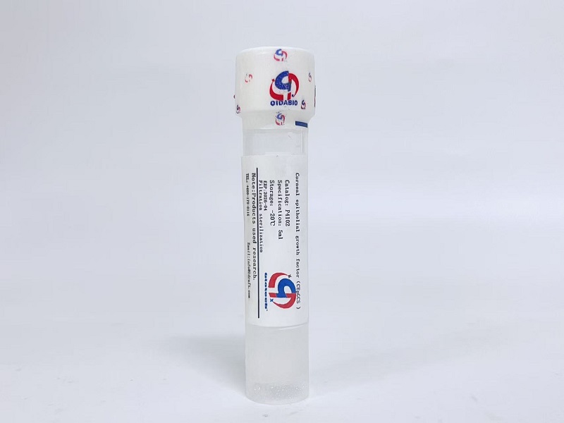 角膜上皮细胞生长因子CEpGCS