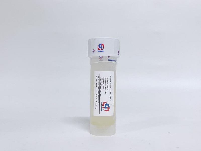 NK细胞生长因子