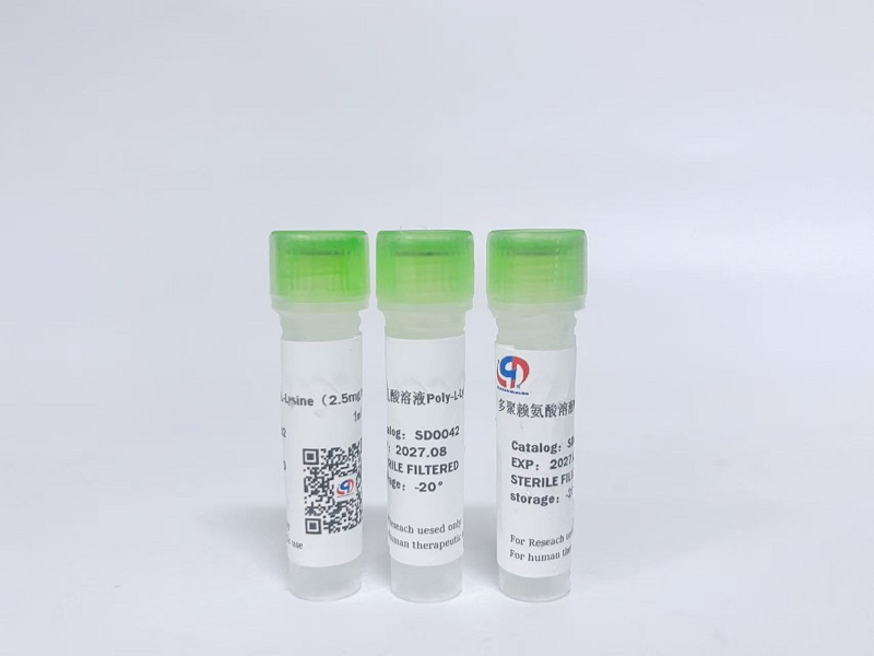 多聚赖氨酸溶液Poly-L-Lysine(2.5mg/ml)