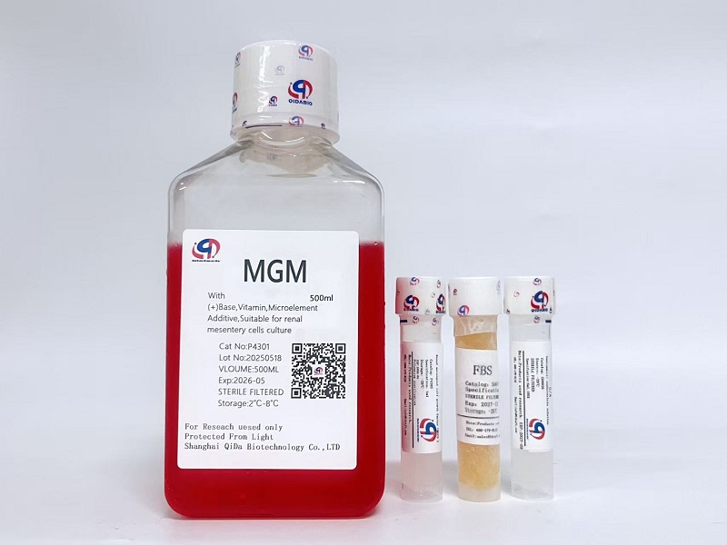 MGM肾系膜细胞培养基