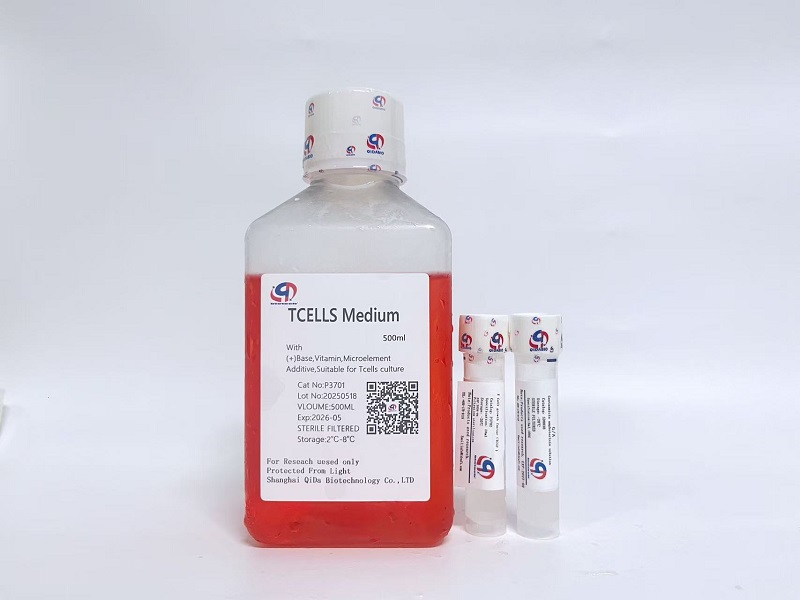 TCM-XF  T细胞培养基