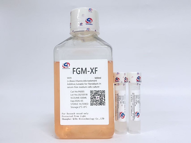 FGM成纤维细胞培养基(无血清)