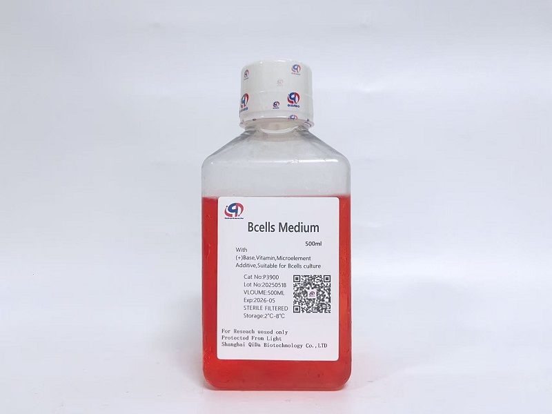 Bcells 基础培养基