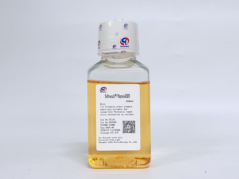 ToProcult™-Thyroid Basic Medium原代甲状腺癌细胞基础培养基(XF)