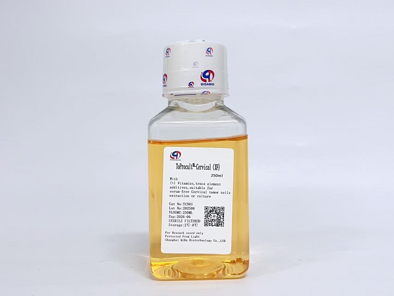 ToProcult™-Cervical Basic Medium原代宫颈癌细胞基础培养基(XF)