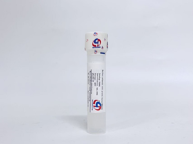 髓核细胞生长因子（NPGCS）