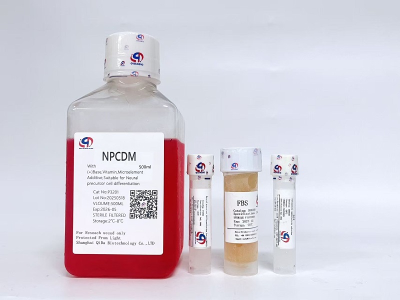 神经前体细胞分化培养基