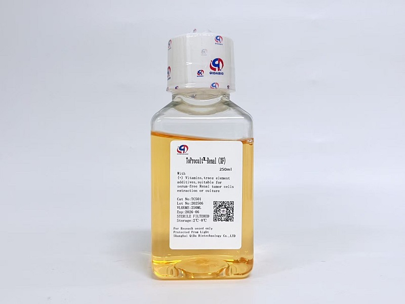 ToProcult™-Renal Basic Medium原代肾癌细胞基础培养基(XF)