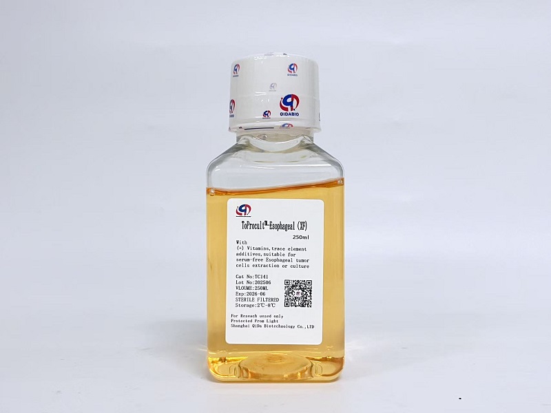 ToProcult™-Esophageal Medium 原代食管癌细胞基础培养基（XF）