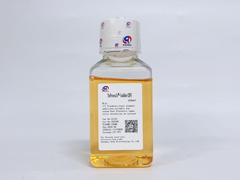 ToProcult™-ladder Basic Medium原代膀胱癌细胞基础培养基（XF）