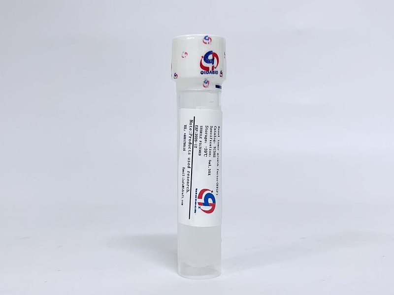 RTGF肾癌细胞生长因子