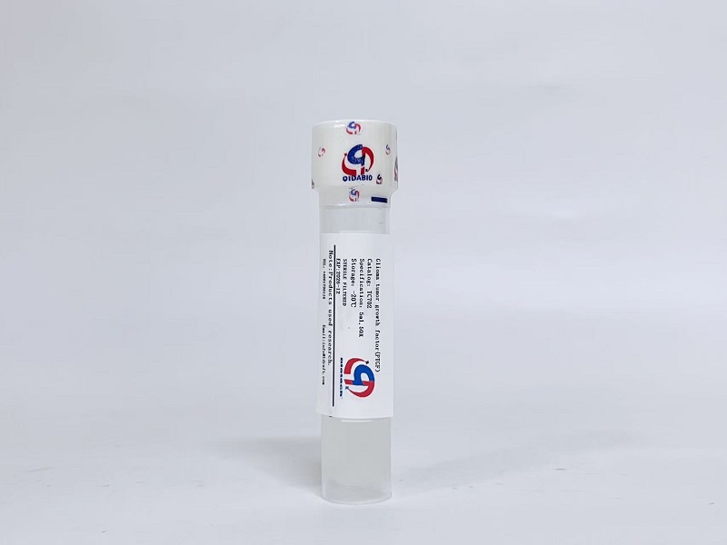 GTGF胶质瘤细胞生长因子