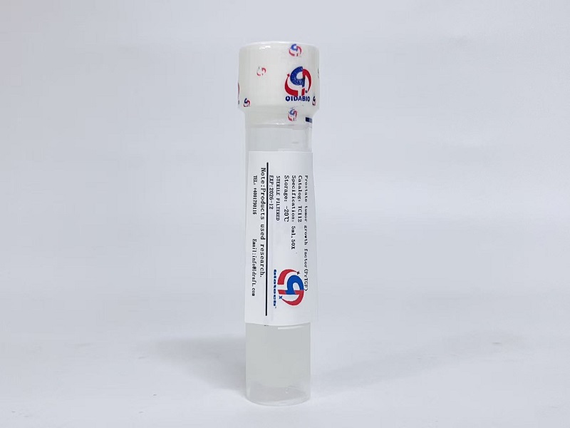 PTGF前列腺癌细胞生长因子