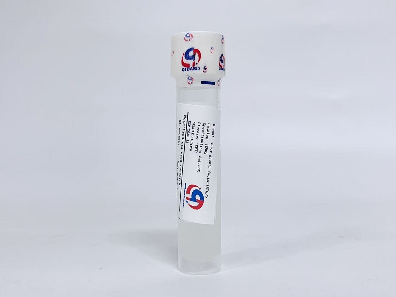 BTGF乳腺癌细胞生长因子