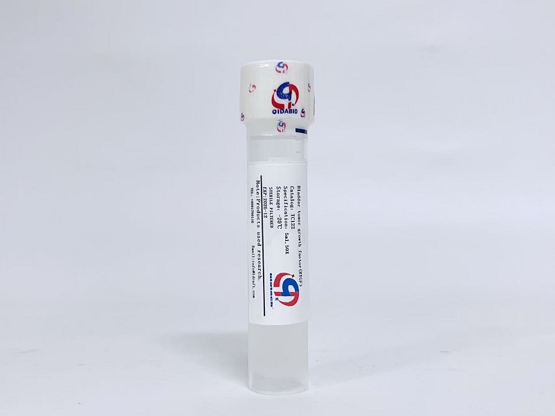 BTGF膀胱癌细胞生长因子