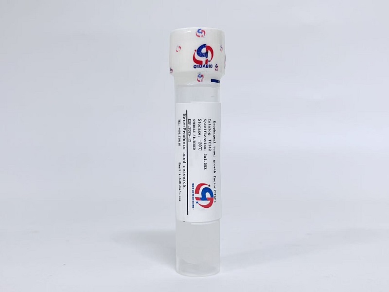 ETGF食管肿瘤生长因子