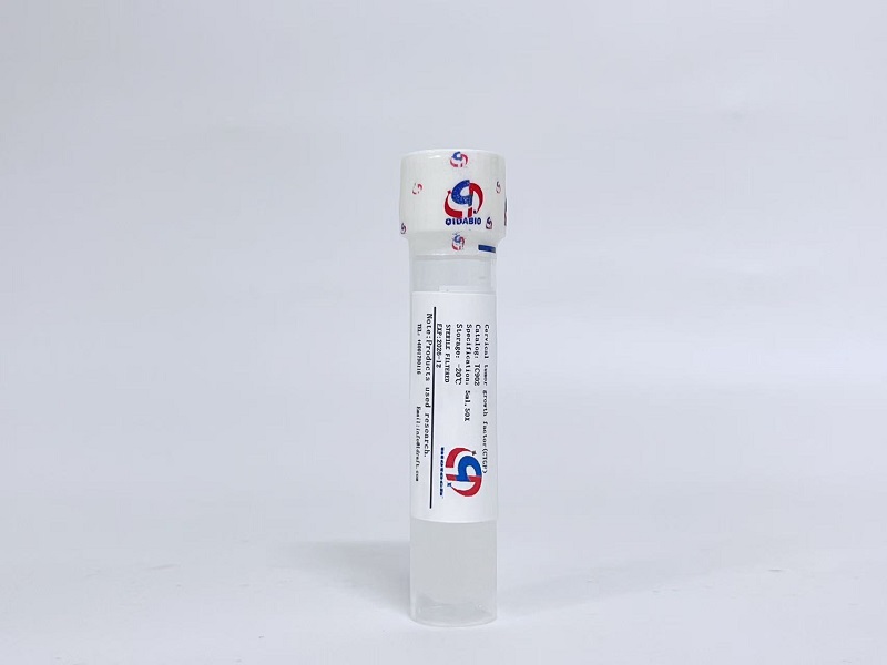 CTGF宫颈癌细胞生长因子