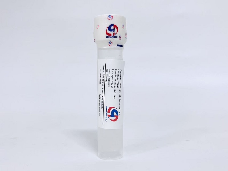 PTGF胰腺癌细胞生长因子