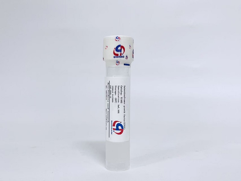 ITGF肠癌细胞生长因子