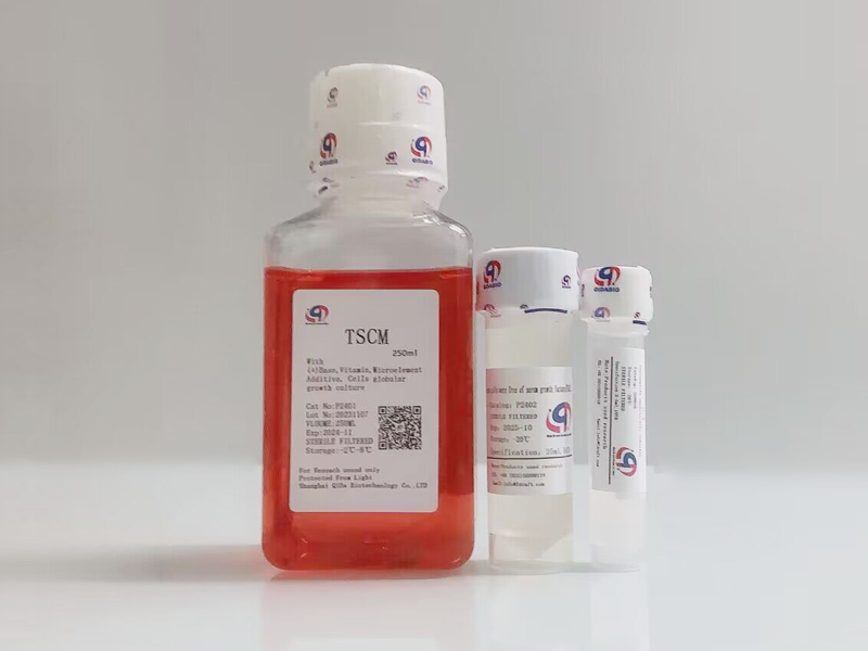 TSCM成球培养基(XF) 买二送一