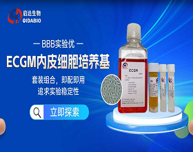 内皮细胞的研究表型汇总