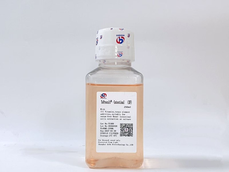 ToProcult™-Intestinal Basic Medium 原代肠癌细胞基础培养基（XF）